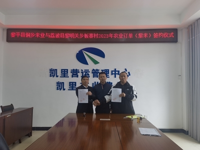 貴州高速集團(tuán)交通物流集團(tuán)牽線(xiàn)搭橋，板寨村300畝紫米簽訂單助力鄉(xiāng)村振興