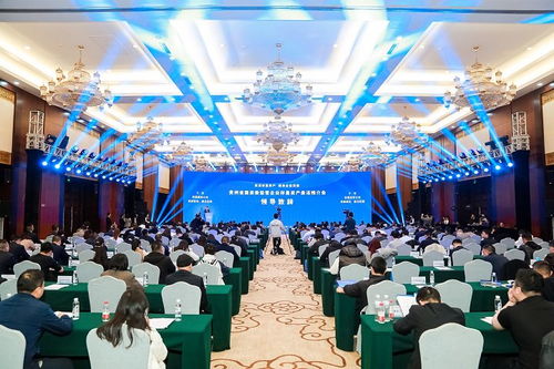 盤活存量資產(chǎn)，融通全國(guó)市場(chǎng)——貴州省國(guó)資委監(jiān)管企業(yè)資產(chǎn)推介會(huì)在貴陽(yáng)舉行